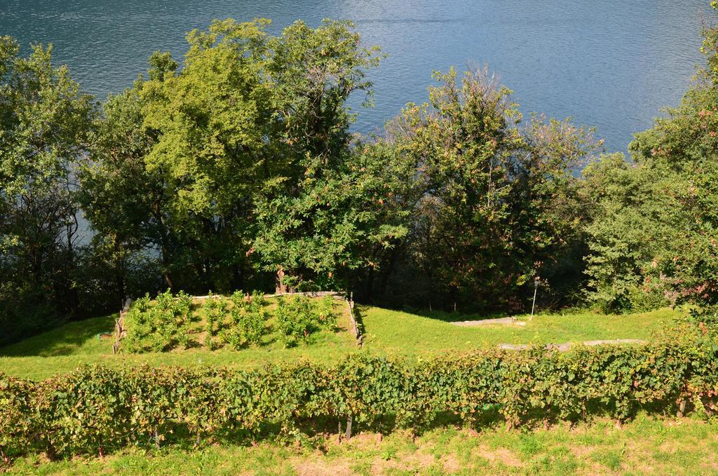 Tra Lago E Montagna Baita La Morena Nesso Bagian luar foto