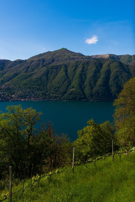 Tra Lago E Montagna Baita La Morena Nesso Bagian luar foto