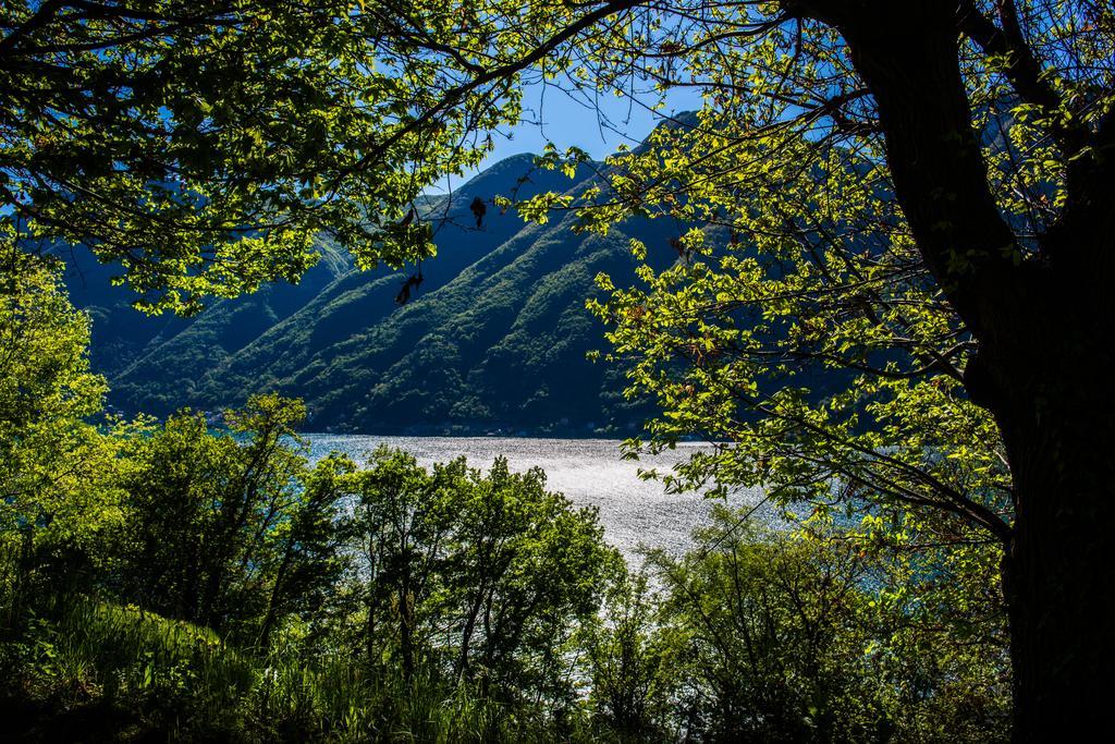 Tra Lago E Montagna Baita La Morena Nesso Bagian luar foto